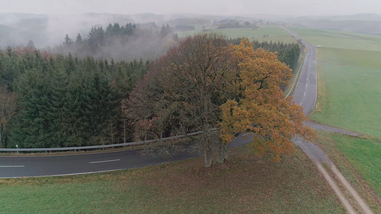 "Das geheime Leben der Bäume" (2019); Quelle: Constantin Film Verleih, DFF, © 2019 Constantin Film Verleih GmbH, nautilusfilm