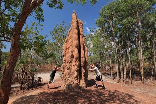 Australien in 100 Tagen