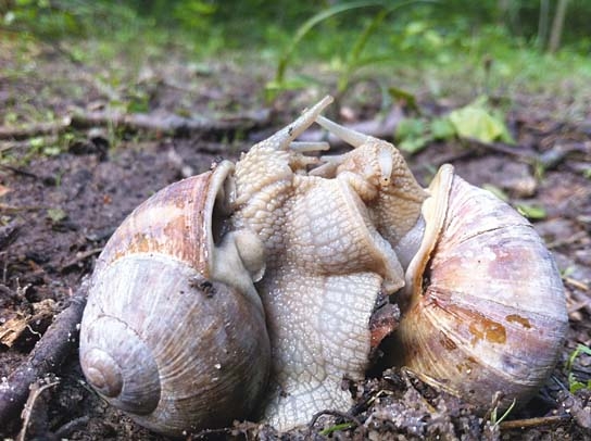 Slow - Langsam ist das neue Schnell