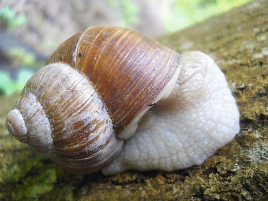 Slow - Langsam ist das neue Schnell