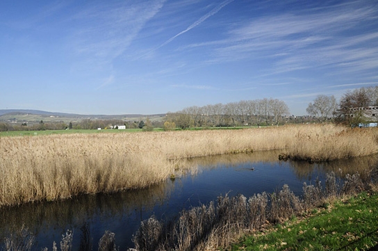 Deutschlands wilde Vögel - Teil 2, © www.deutschlands-wilde-voegel.de