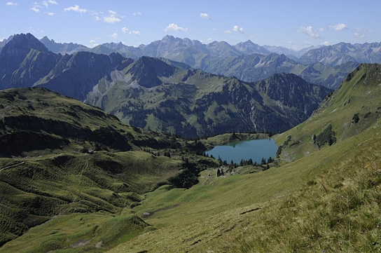 Deutschlands wilde Vögel - Teil 2, © www.deutschlands-wilde-voegel.de