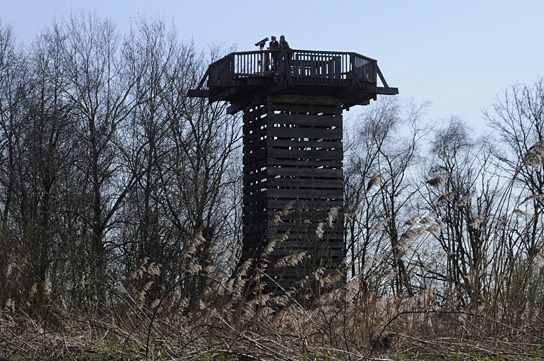 Deutschlands wilde Vögel - Teil 2, © www.deutschlands-wilde-voegel.de