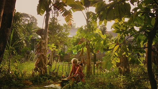 The Look of Silence, courtesy of Drafthouse Films and Participant Media