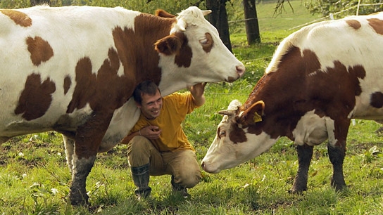 "Im Namen der Tiere", Quelle: W-film, DIF, © W-film, Sabine Kückelmann