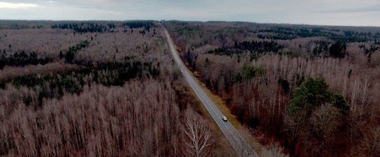 "Die Vierhändige", Quelle: Camino Filmverleih, DIF, © Camino Filmverleih