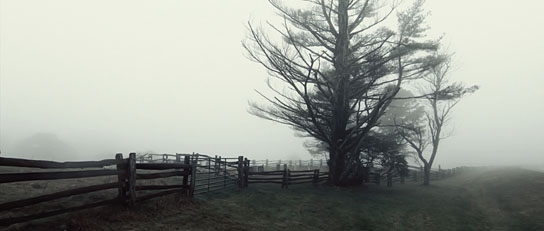 "Appalachian Holler", Quelle: Matthias Lawetzky, © Matthias Lawetzky