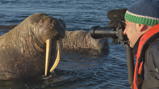 Dreharbeiten zu "Spitzbergen - Auf Expedition in der Arktis" (2020); Quelle: comfilm.de, DFF