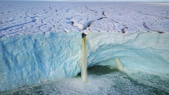 "Spitzbergen - Auf Expedition in der Arktis" (2020); Quelle: comfilm.de, DFF