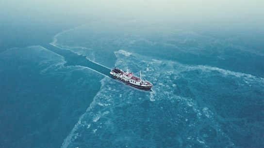 "Spitzbergen - Auf Expedition in der Arktis" (2020); Quelle: comfilm.de, DFF