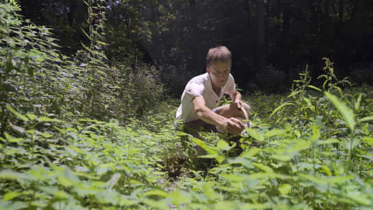 "SEIN - gesund, bewusst, lebendig" (2020); Quelle: Spuren Pfade Filme Verleih, DFF, © Spuren_Pfade_Filme Verleih