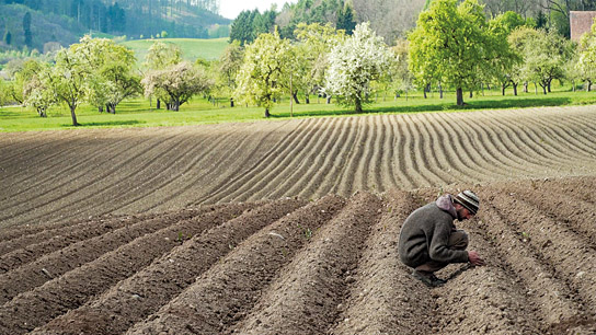 "Unser Boden, unser Erbe" (2019); Quelle: W-film, DFF, © W-film, Tisda Media