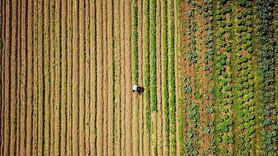 "Unser Boden, unser Erbe" (2019); Quelle: W-film, DFF, © W-film, Tisda Media