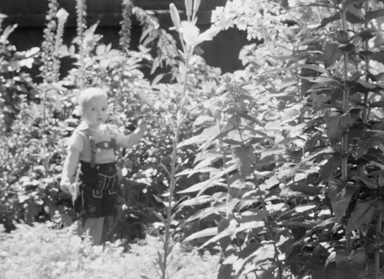 Screenshot aus "Privatfilm Familie Schnabel ca. 1936" (1936?); Quelle: SLUB Dresden, © SLUB Dresden, Filmverband Sachsen (Dresden), Hirsch Film (Dresden)