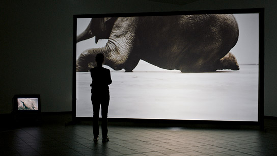 Ursula Strauss in "Le Prince" (2021); Quelle: Port au Prince Pictures, DFF, © Port au Prince Pictures