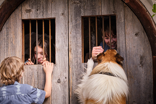 Pelle Staacken (vorne), Anna Lucia Gualano, Nico Marischka (hinten, v.l.n.r.) in "Lassie - Ein neues Abenteuer" (2023)