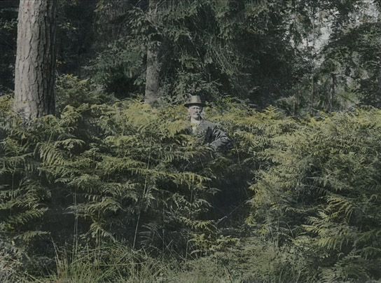 "Die toten Vögel sind oben" (2022)