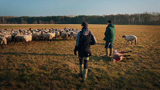 "Im Land der Wölfe" (2023)