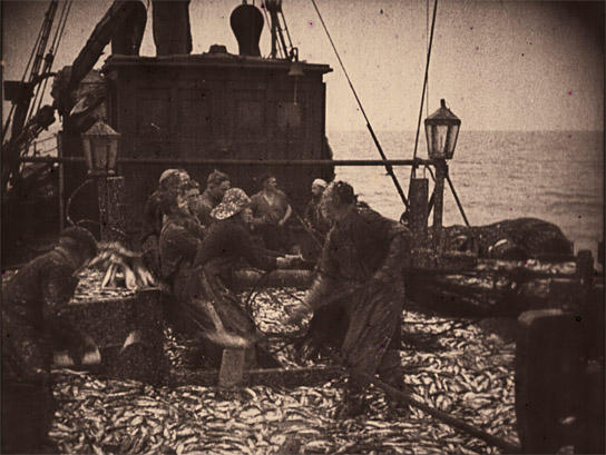 "Silberne Meeresbeute. Fischfang in der Nordsee" (1928)