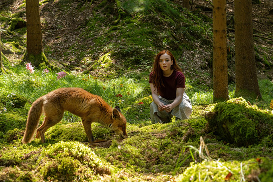 Ava Petsch in "Ein Mädchen namens Willow" (2025)