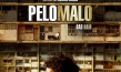 "Pelo Malo"