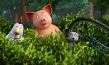 "Mullewapp - Eine schöne Schweinerei", © StudioCanal