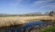 Deutschlands wilde Vögel - Teil 2, © www.deutschlands-wilde-voegel.de