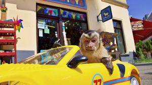 "Akiko, der fliegende Affe" (2024) "Akiko, der fliegende Affe" (2024)