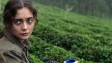 "Sibel", Quelle: Arsenal Filmverleih, DIF